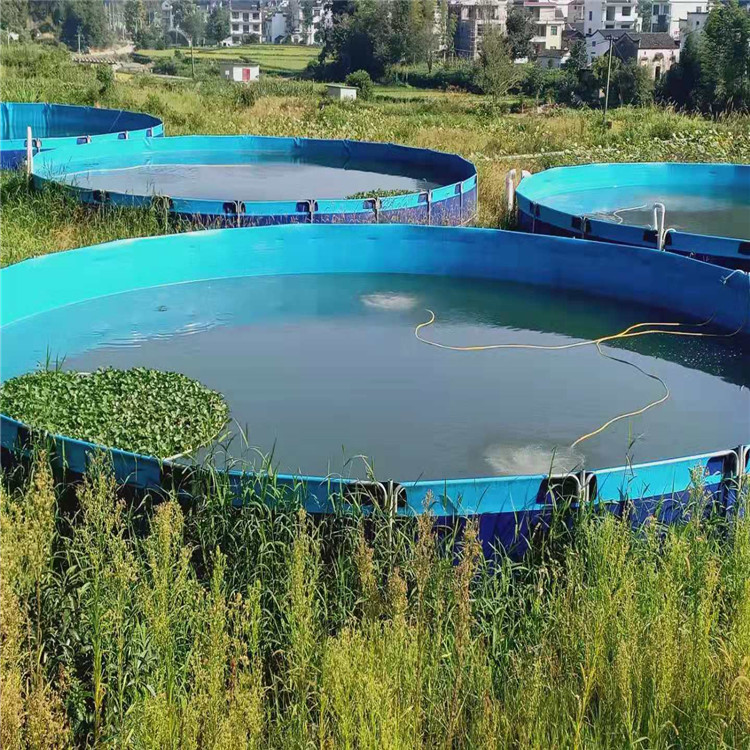 Горячая Распродажа, большие круглые коммерческие водоемы, пластиковый аквариум для рыбного хозяйства
