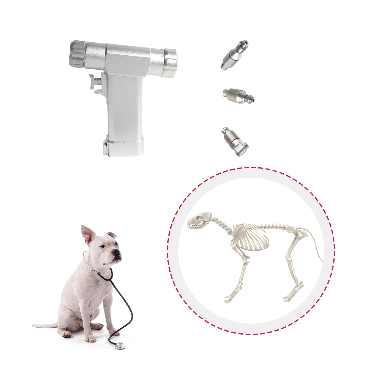 Quality Assurance Right Price 3-in-1 Drill Medical Power Tools Orthopedic Instruments Veterinary Equipment Animal