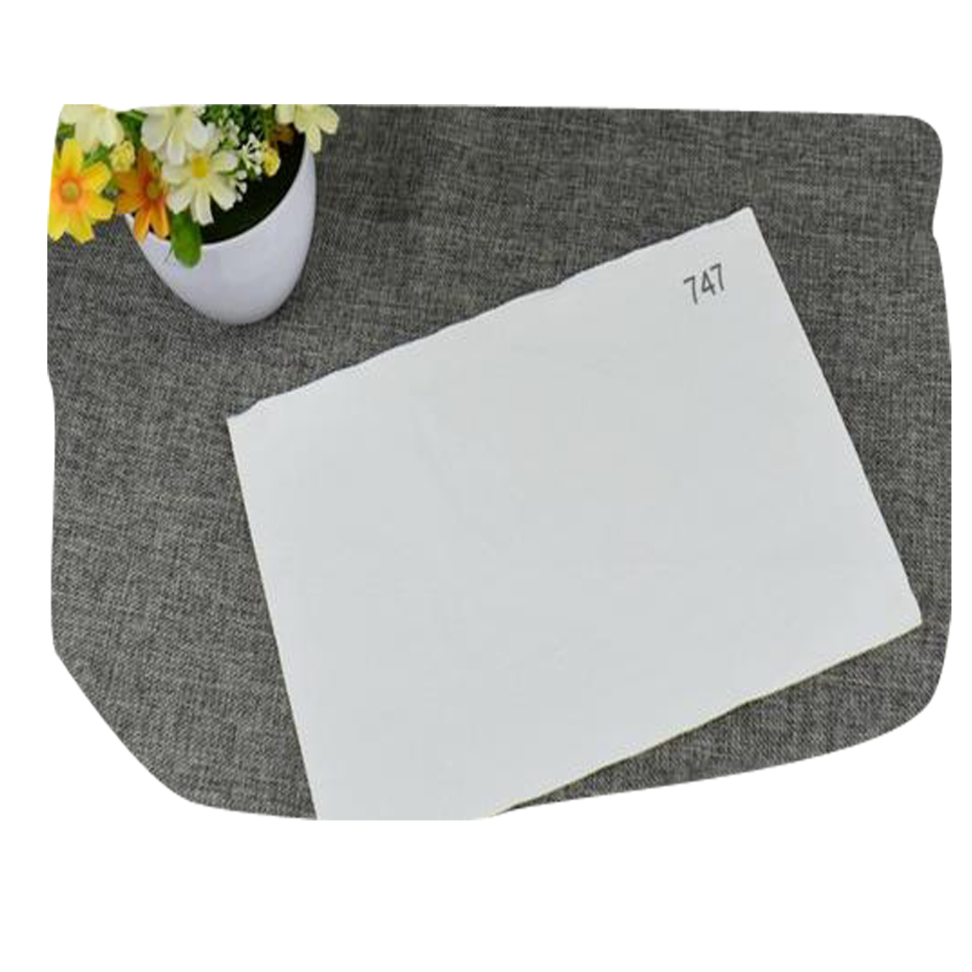 Hot sales High Efficiency polyester 747 Centrifugal filter cloth for chemical filer cloth