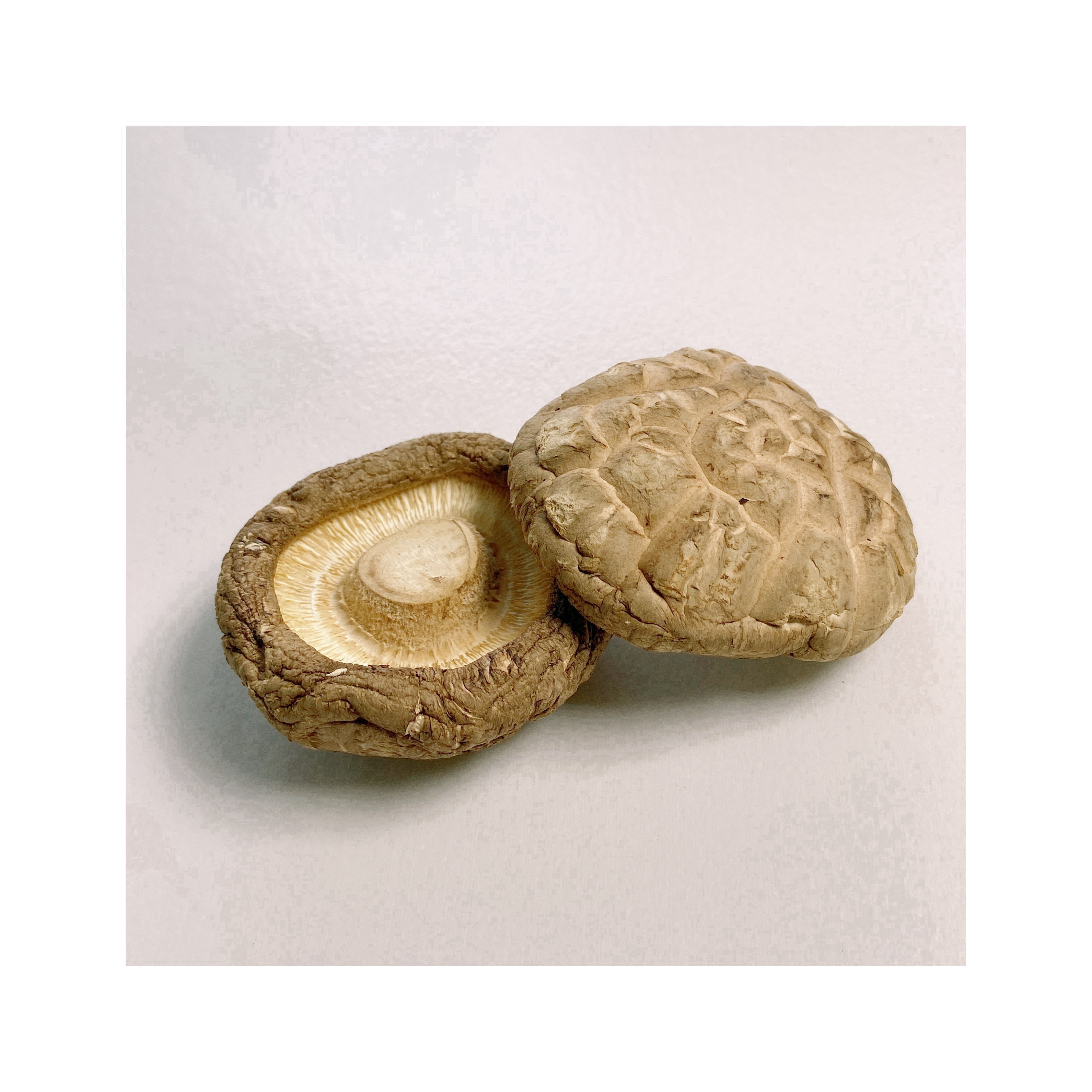 Good Quality Premium Dried Hua Mushroom Dried Organic Shiitake Mushroom