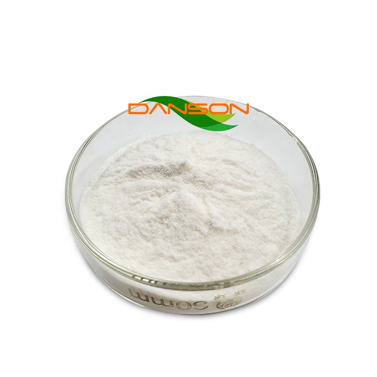 Lactose Powder Factory Supply Spray Dried Manufacturer 25KG Lactose