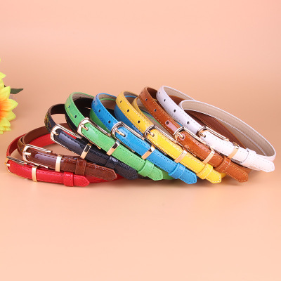 2020 New Ladies Fashion Fine Pu Leather Belt Trend Small Needle Buckle Belt Customized Processing For Women