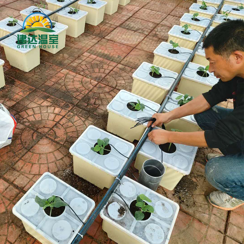 Skyplant Hydroponics Dutch Pot Bato Bucket Garden Vase POTS Planter Flower Nursery Production Flower Basket Flower Tub Plastic
