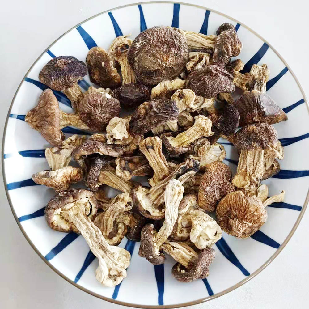 Healthy Foods Dried Shiitake Mushroom Matsutake Dried Tricholoma Matsutak
