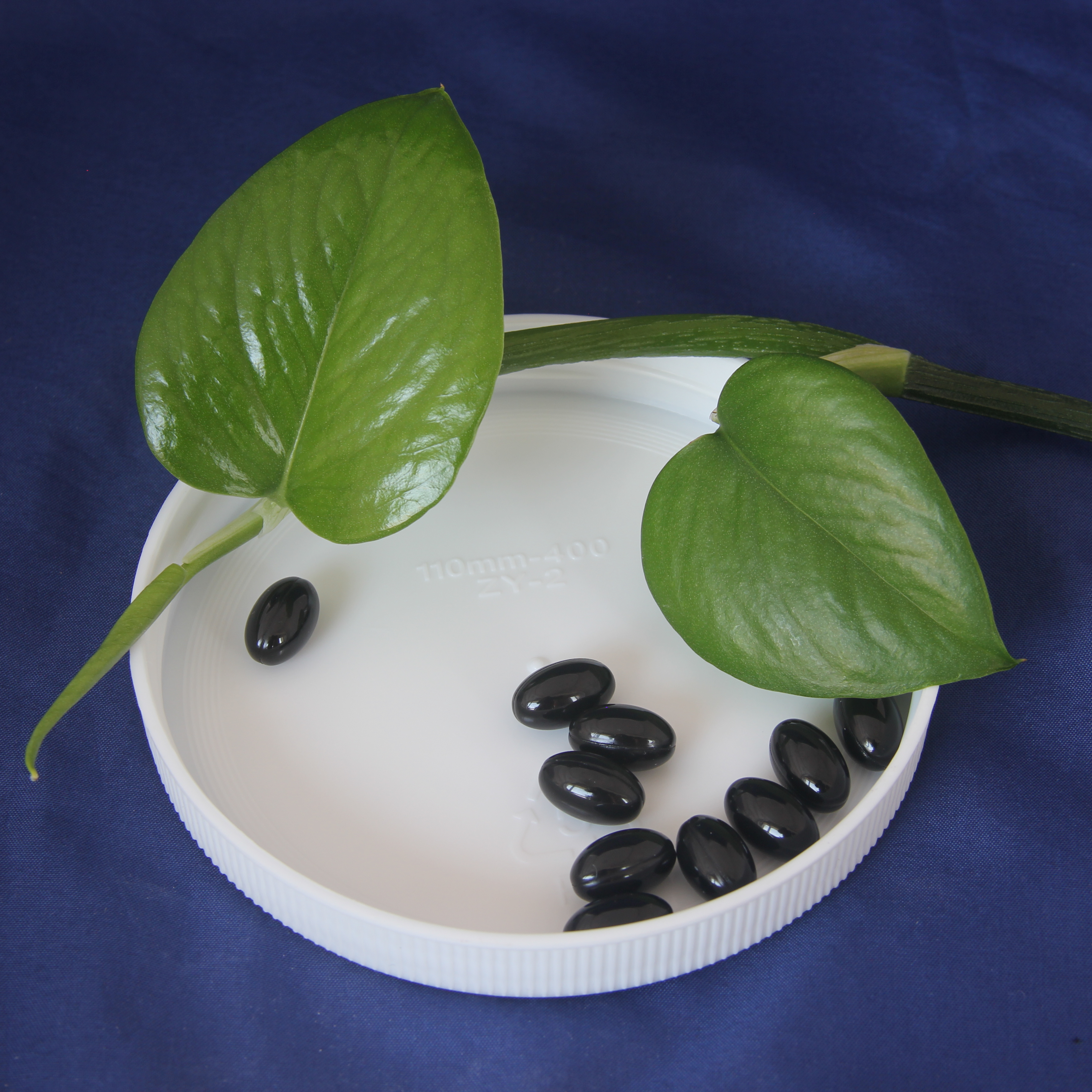 Продукт для здоровья GMP Moringa Oleifera Softgel