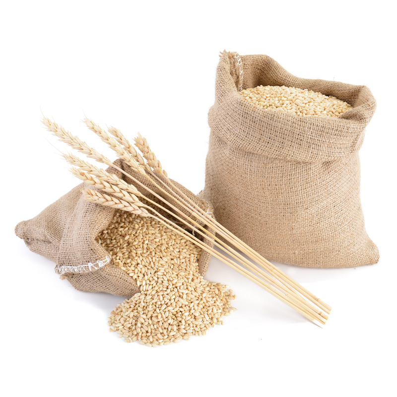 Good prices whole wheat grain from Kazakhstan hot selling wheat in bulk