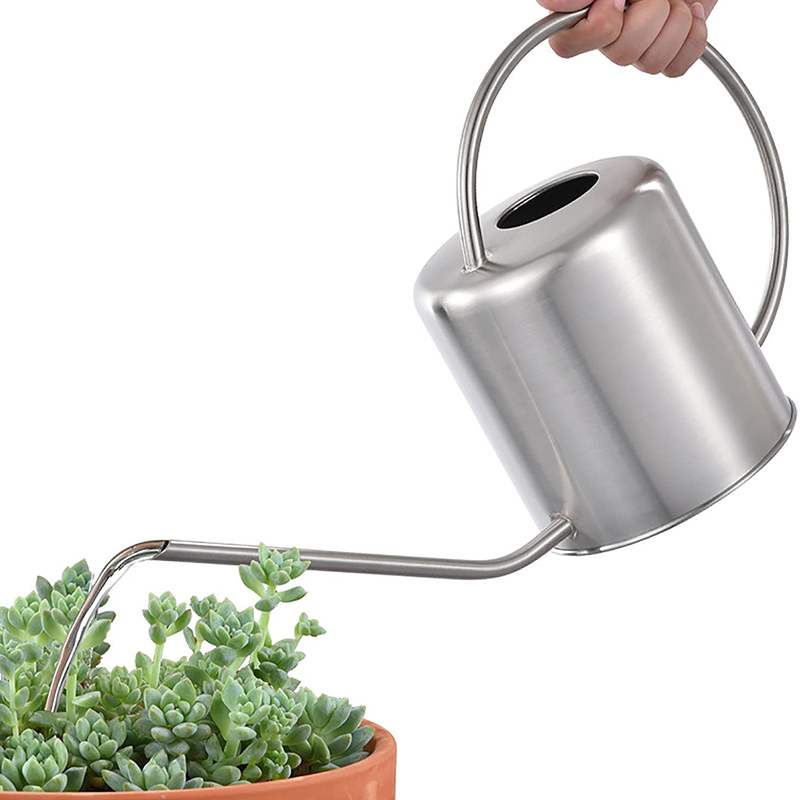 Garden Tools Top Quality Long Narrow Spout 2L Plant Vintage 201 304 Stainless Steel Metal Watering Can
