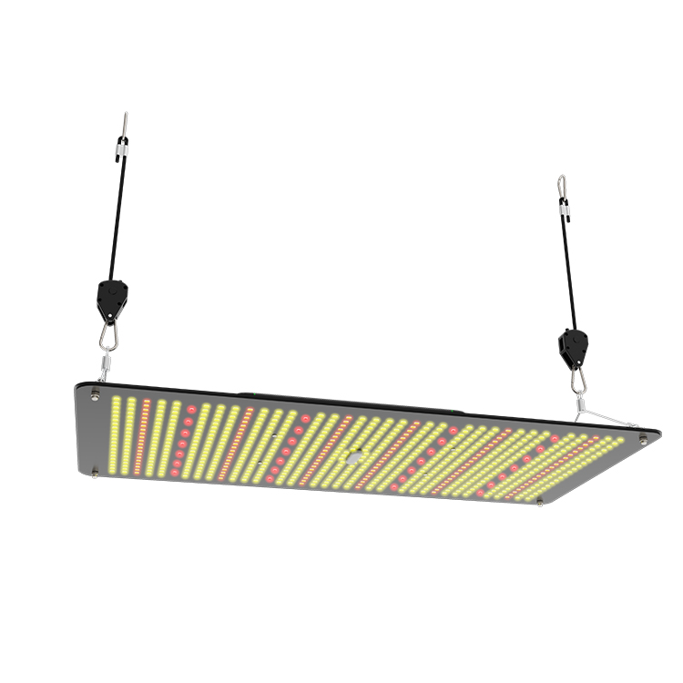 2021 Best Seller 2.8 umol/J Full spectrum Led grow lighting indoor plants growing flower vegetable stage Seeds