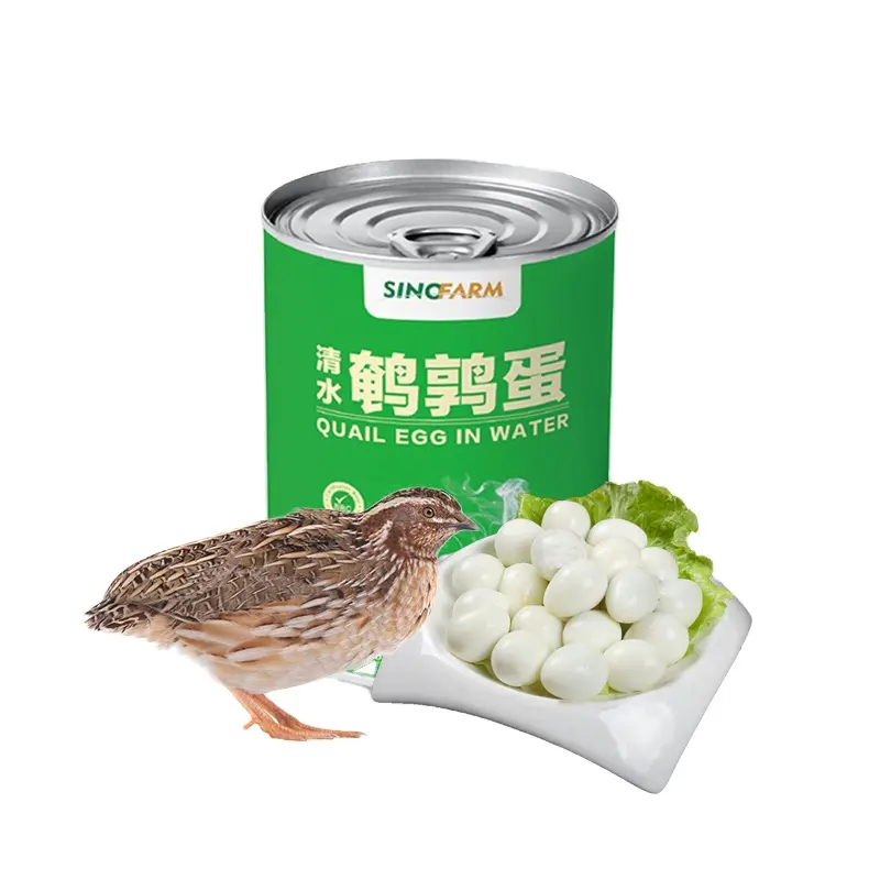 Shandong Sino Farm factory supply Weight of 425g 850g 3kg salted canned boiled quail eggs in brine water export for sale