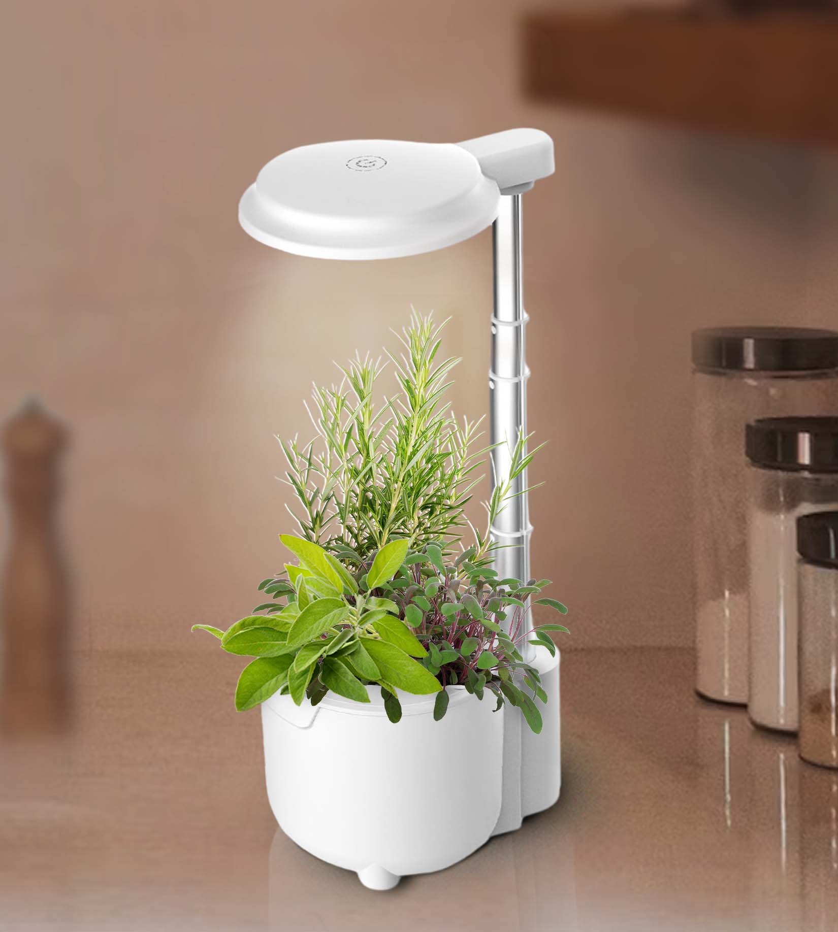 J&C hydroponics Growing System 3 Pods Indoor Garden with LED Grow Light Height Adjustable tabletop office