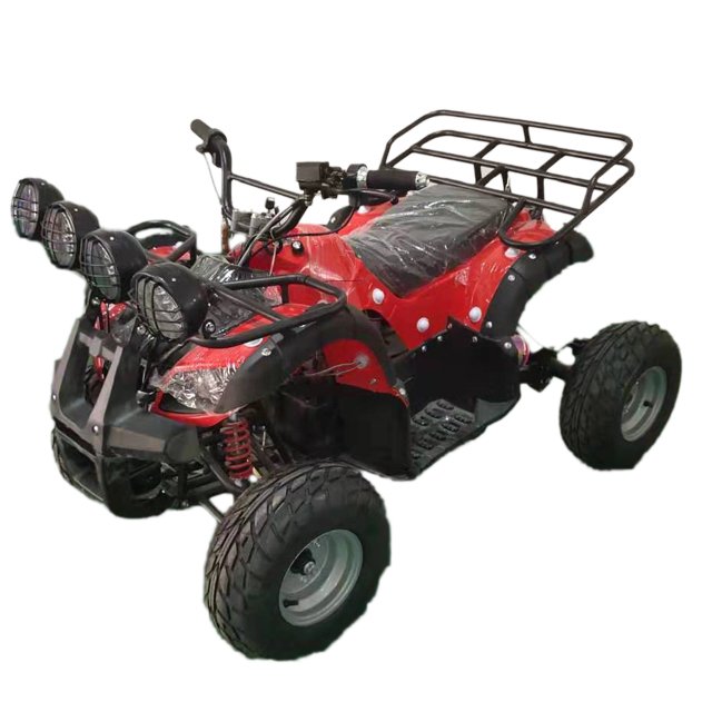 Wobeiqi Лидер продаж/детскй 4-колесный quad взрослых Электрический ATV, багги для продажи