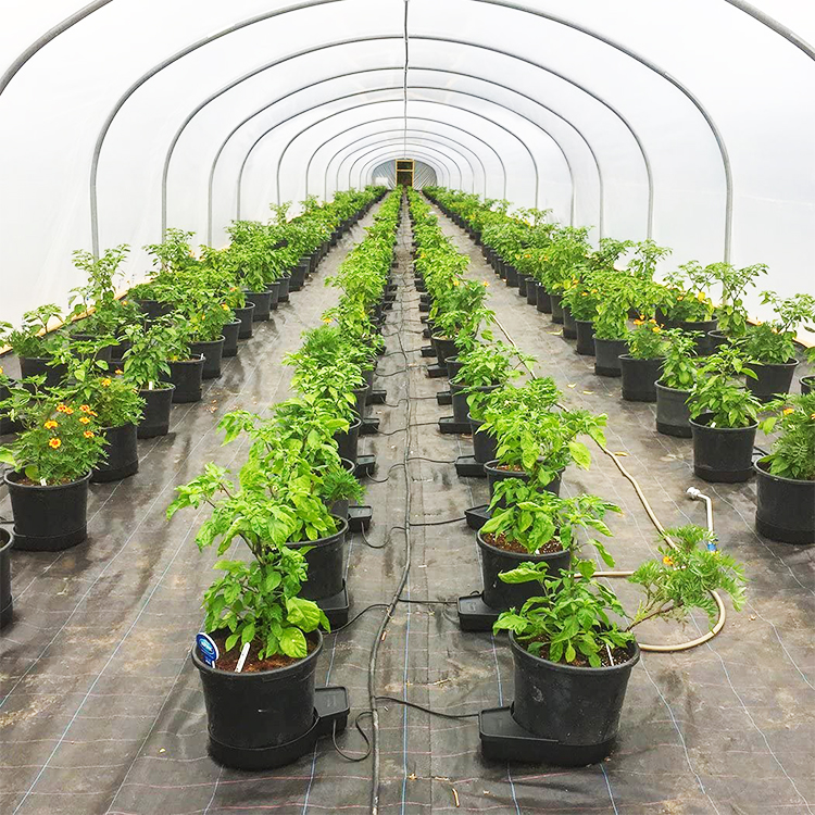 Smart pvc pipe hydroponic system drip irrigation hydroponic system dutch bucket for sale