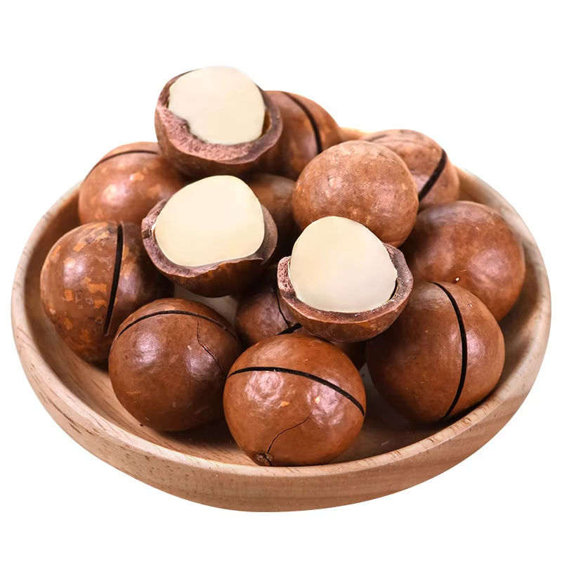 China Origin Milky Flavor Roasted Nuts Macadamia Nuts With Shell