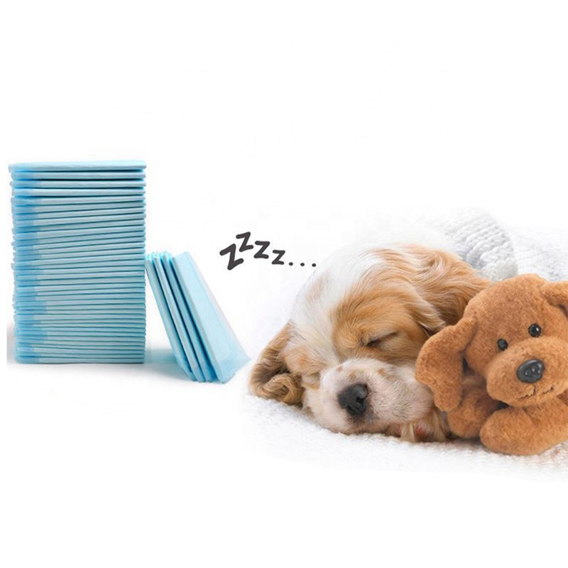 Disposable Male Dog Pet Cat Pants Diapers Female Pee Disposable Toilet Potty Trainer For Urine Pad Dogs Pet Dog Diaper