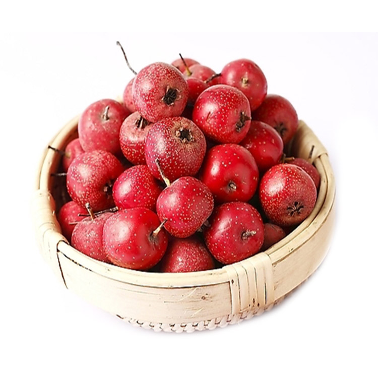 Healthy select organic health fresh hawthorn berry