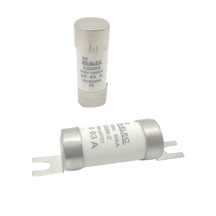SAA AUS 100A Cylindrical Electronic Cartridge Fuses Link
