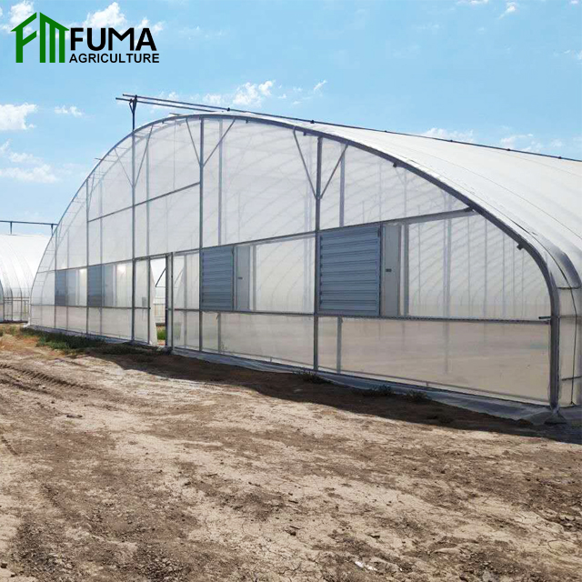 FUMA Agricultural Solar Single-span Greenhouse For Sale