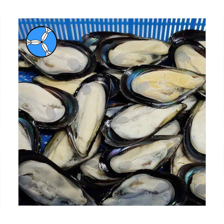 Морепродукты SANFENG морепродукты замороженные полускорлупы