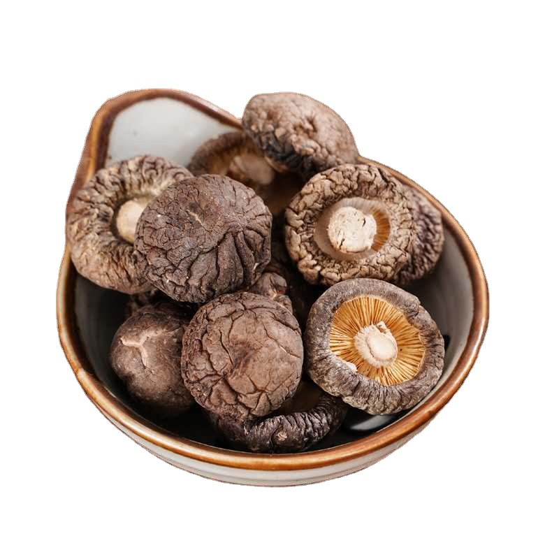 Dry mushroom ---shiitake For wholesale