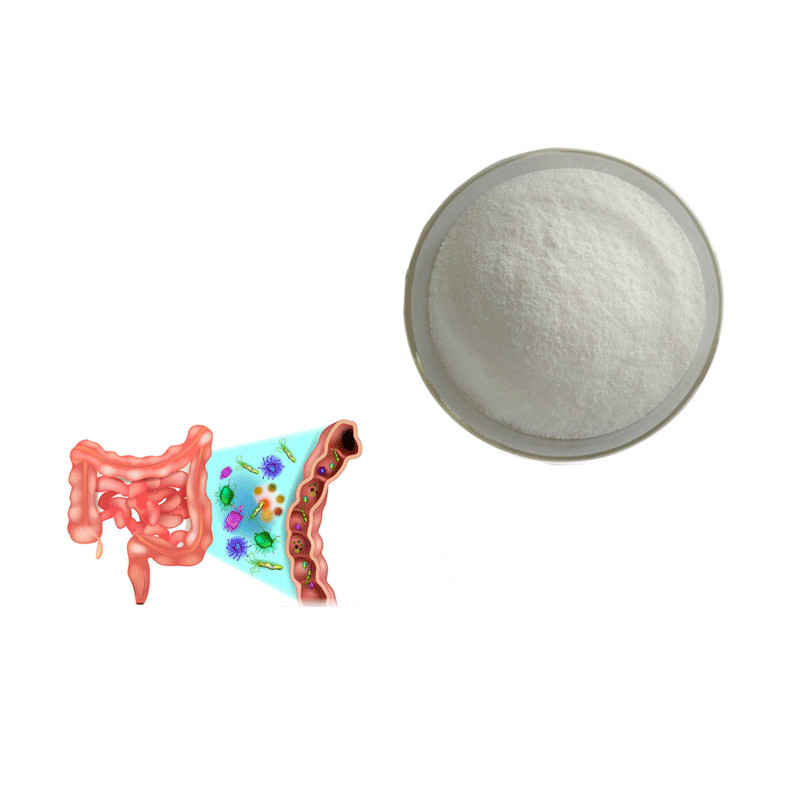Freeze Dried probiotics bifidobacterium longum probiotic powder