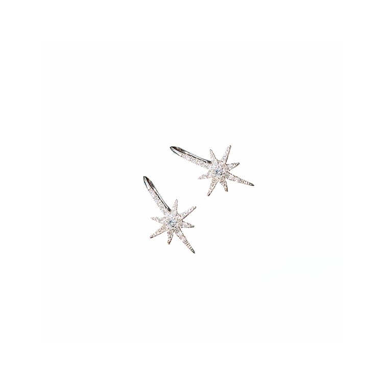 Professional 2021 new designer popular brand octagonal star zircon earrings micro-inlaid platinum-plated earrings