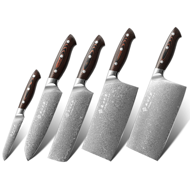 Hot sale 5 Pieces Damascus Kitchen Chef Japanese knife set with the Wine Micarta Handle