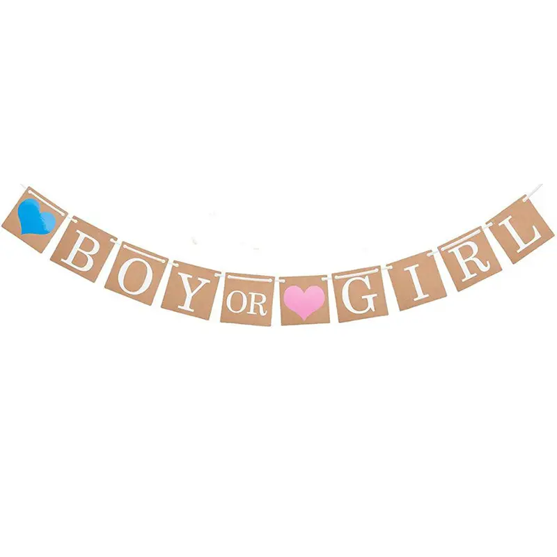 Gender Reveal Party Baby Shower Decorations - Pink or Blue Banner Pregnancy