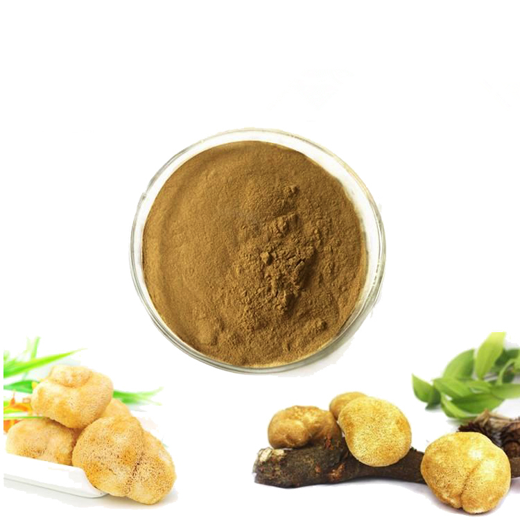 Wild Lion's Mane Extract Beta D Gucan 30% instant drink with Best Price