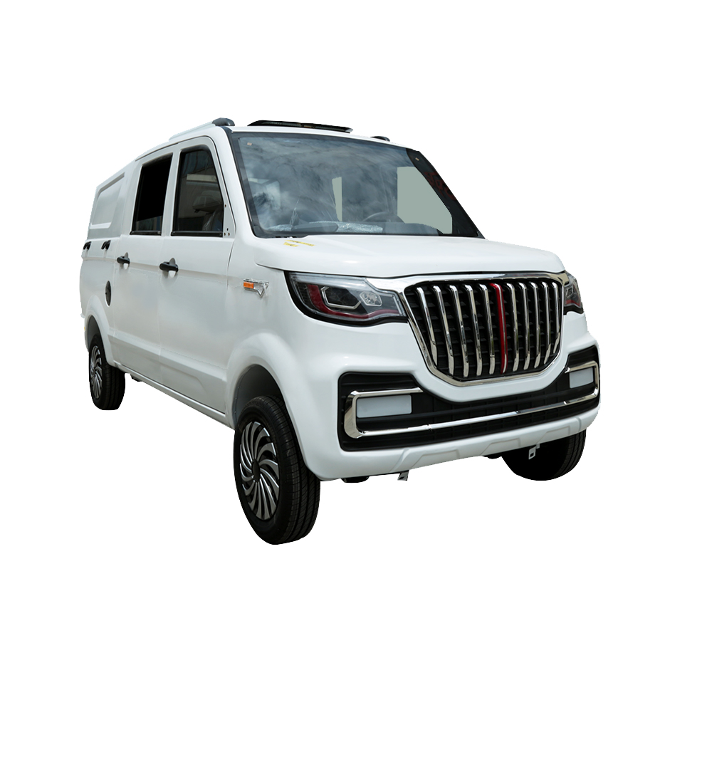 Manufacturer for adult household power double row electric pickup truck