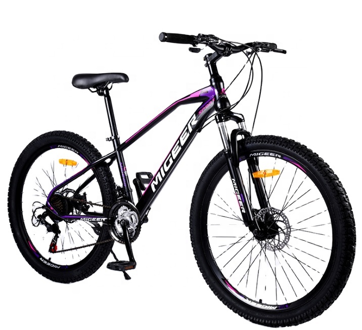 Mountain Bicycle