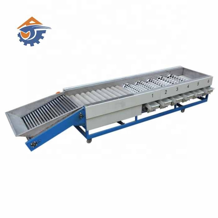 Fruit cleaning and sorting machine tomato onion garlic vegetable selecting grading machine