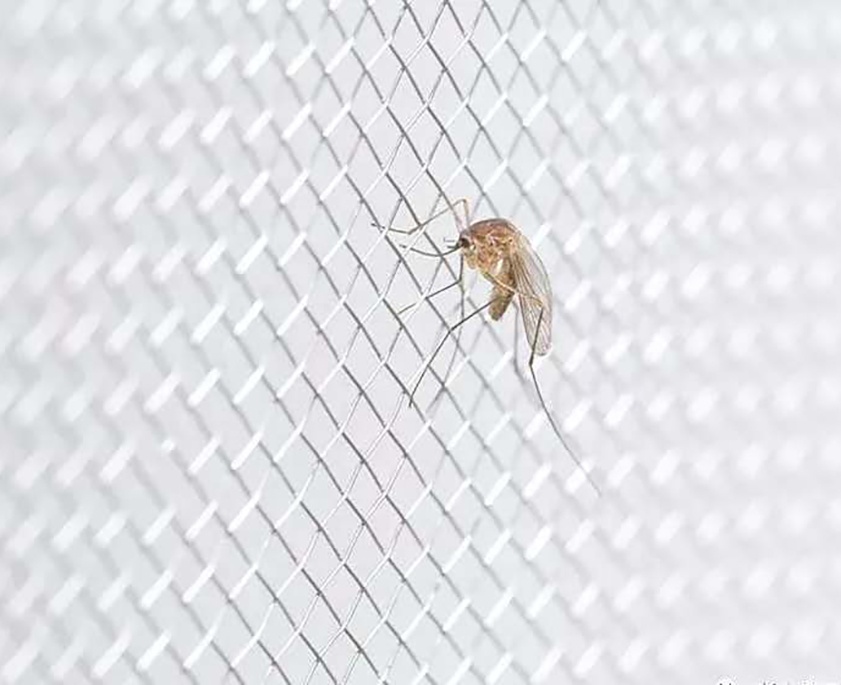 Hot Sale 304 Stainless Steel Anti-mosquito Window Screen Mesh / Filter Wire Mesh