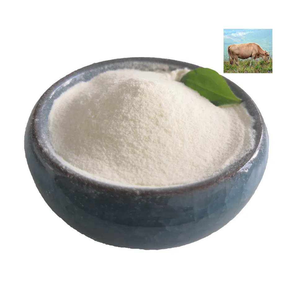 White Odorless Hydrolyzed collagen protein powder