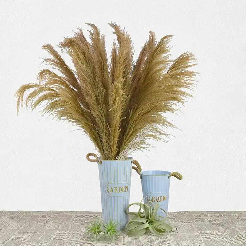 Factory sale natural plant 100 cm reed dried grass dried flower for home decoration
