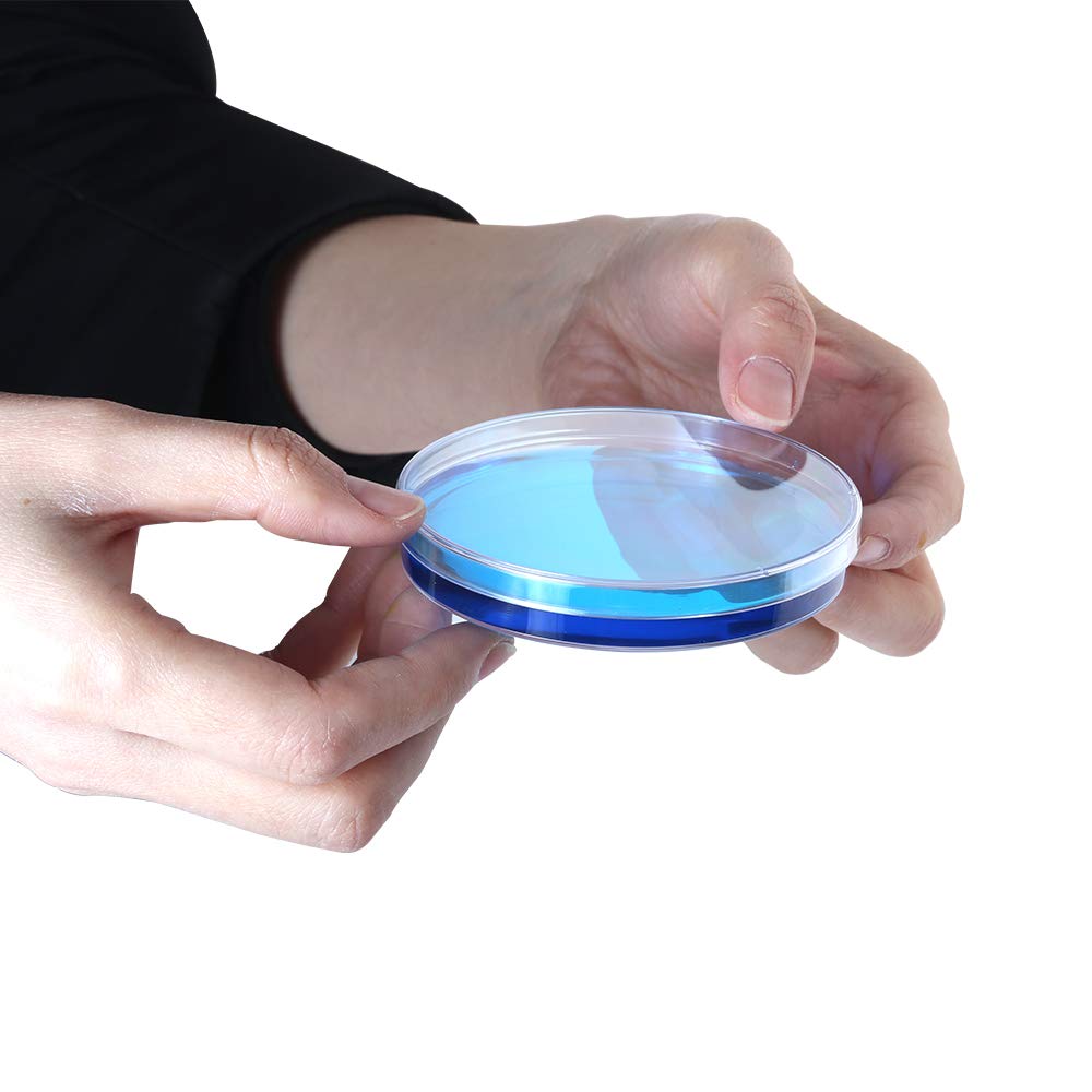 Custom Petri Dish Container Petri 60mm Petri Dish for Kids Science Experiment