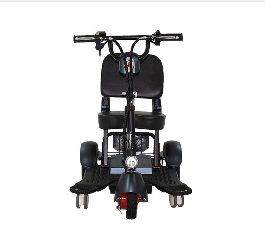 Small Size 300W Fordable Smart 3 Wheel Electric Bike for Elderly or Disabled E-bicycle
