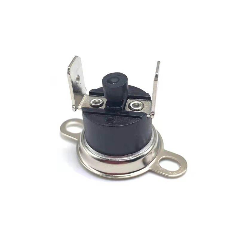 Биметаллический термостат 100C Protherm Skat 0020094666
