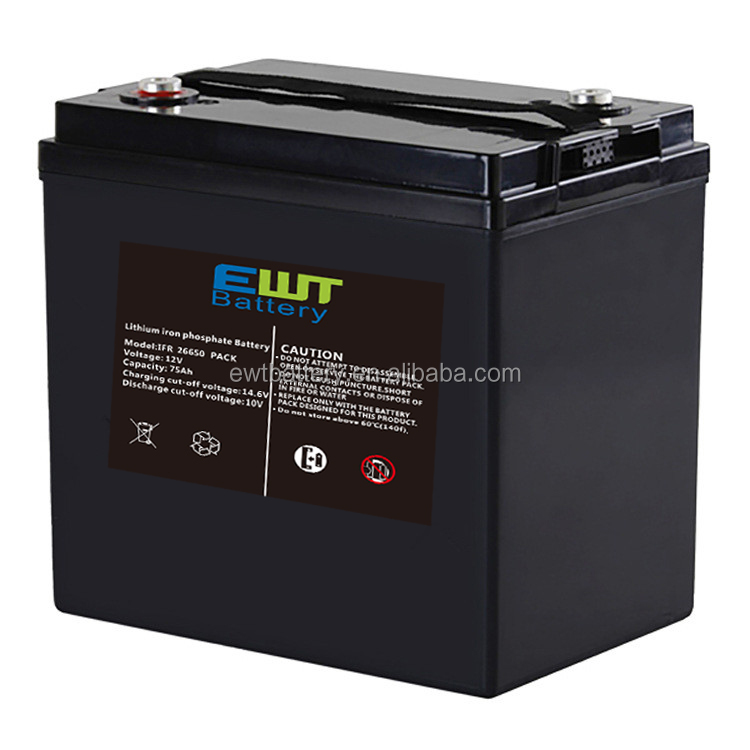LiFePO4 аккумуляторные батареи 12v 24v 36v 48v 20ah 40ah 50ah 60ah 100ah многократного цикла глубокого заряда-разряда литий-ионный аккумулятор для ИБП