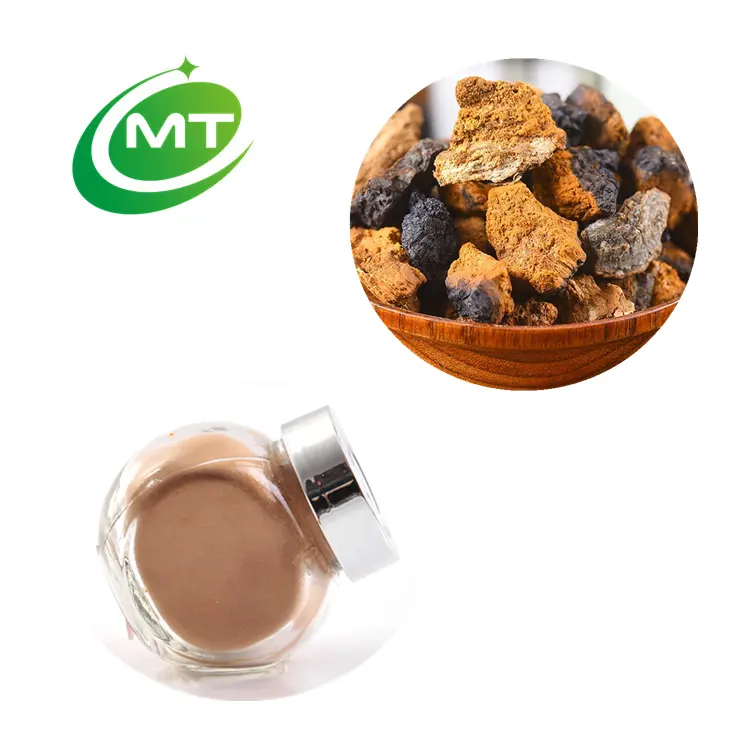 Organic Inonotus obliquus Chaga Mushroom Extract Powder