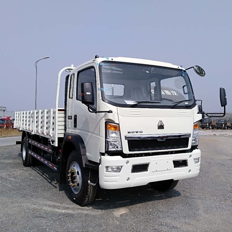 T-KING 4x2 Малый грузовик 4 тонны грузовик для продажи в Африке