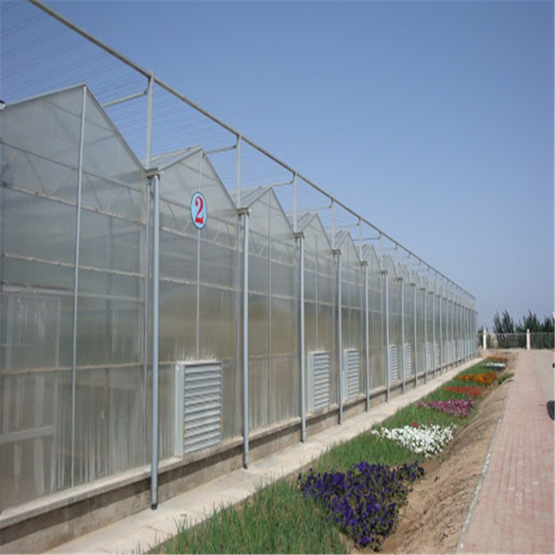 Low Cost Commercial 10mm Polycarbonate Sheet Greenhouse Supplier