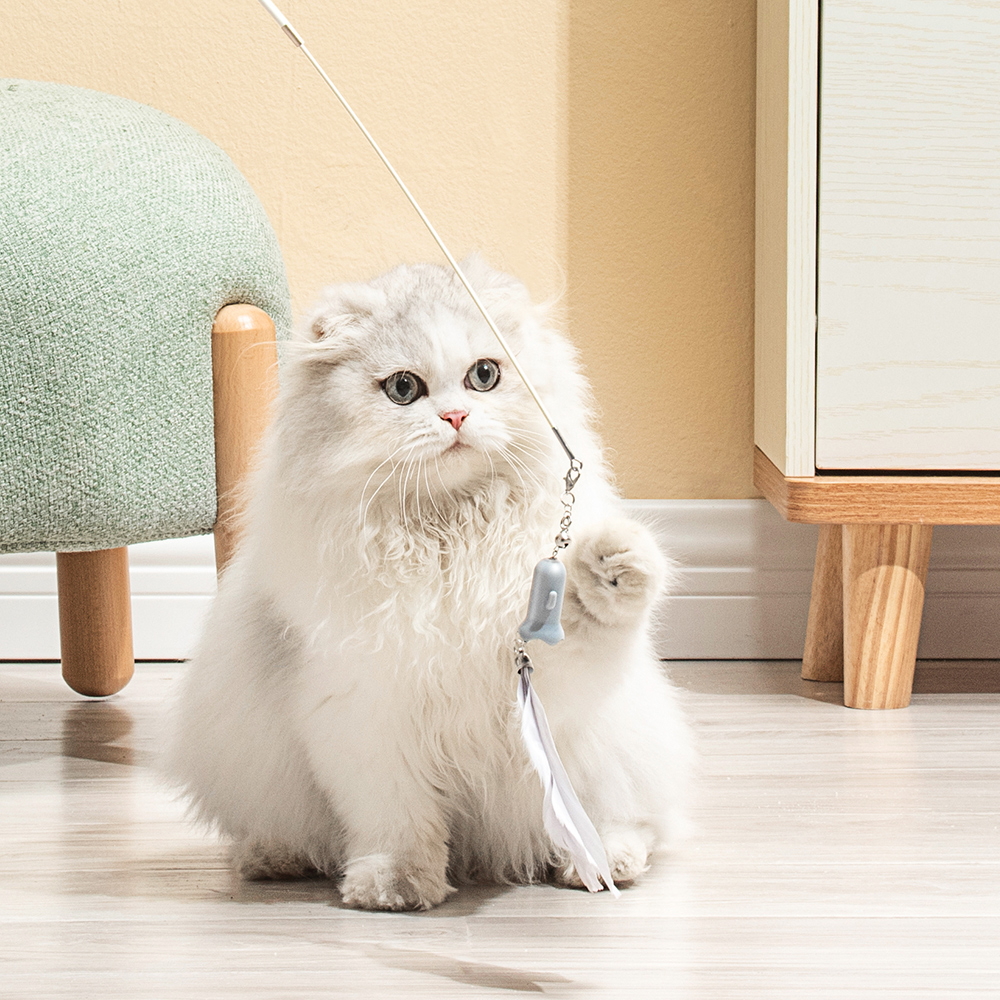 Pakeway фабрика PP, игрушки для кошек, экологически чистая палочка для кошек, OEM ODM интерактивная игрушка для домашних животных, палочка для кошек с пером