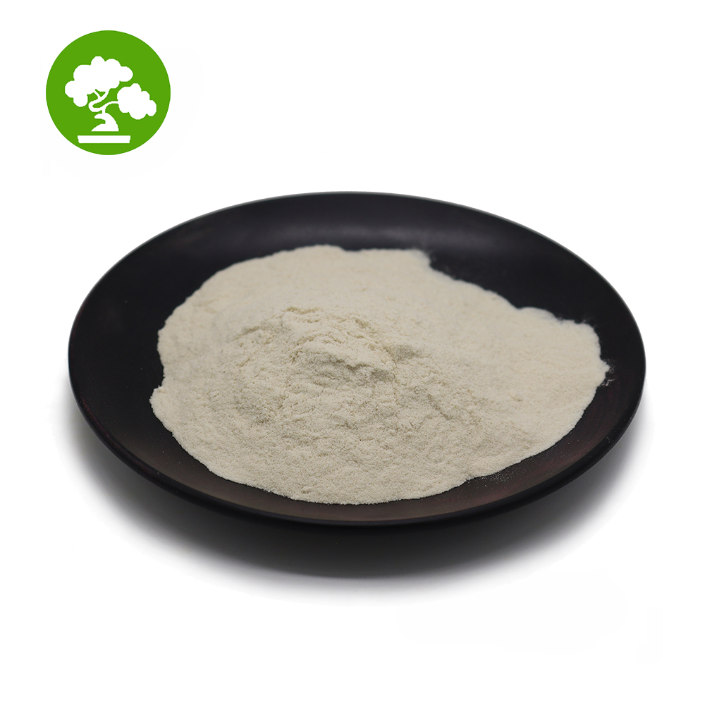 Competitive Price Springer Yeast Extract Food Grade
