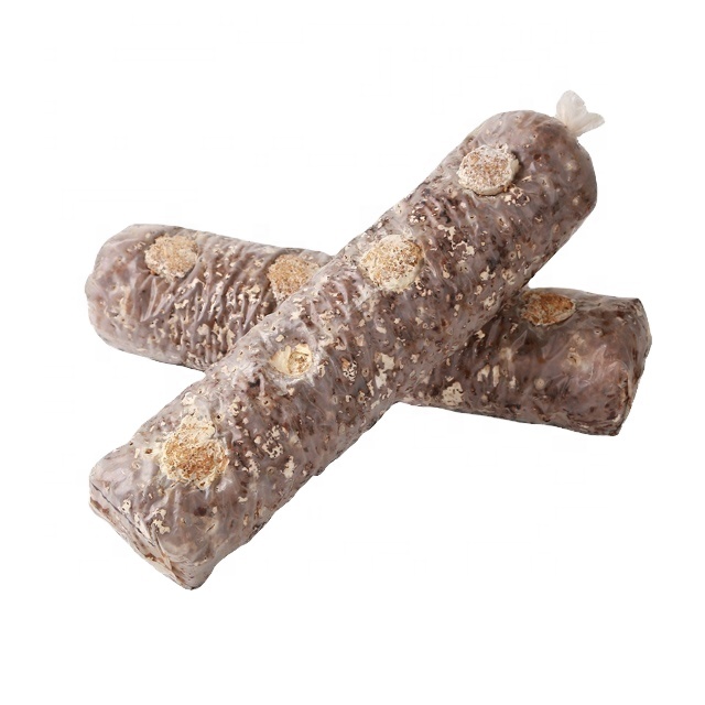 Shiitake Mushroom Spawn/logs/bags Supplier Chinese Factory with smart factory made