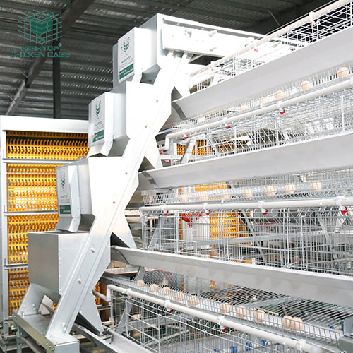 Hightop Poultry Farm Equipment Animal Chicken Fully Automatic Layer Farming Cage System Price In India Zimbabwe