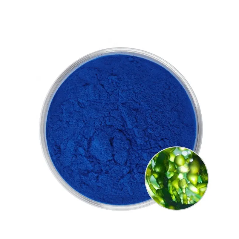 Wholesale Organic Spirulina Extract Blue Pigment Phycocyanin Powder