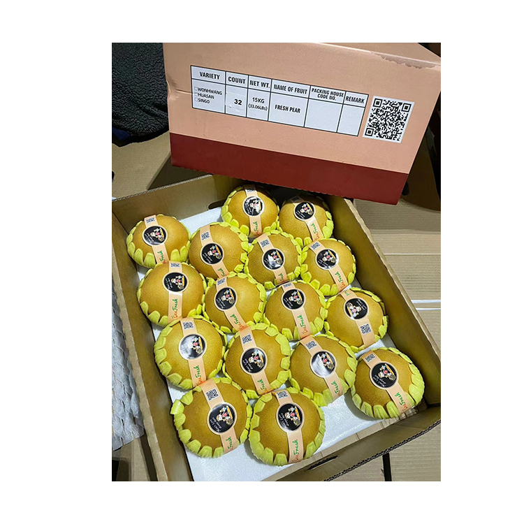 Competitive Price fresh huanggaun pear fruit pear packaging pear fresh