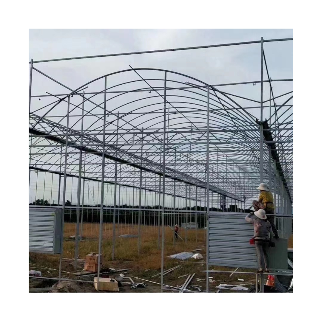 Manufacturer Low Cost Commercial Polycarbonate Single Span Plastic Film Greenhouse