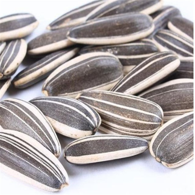 Inner Mongolia Top Grade Hot sale china Common Cultivation Type Roasted Sunflower Seeds