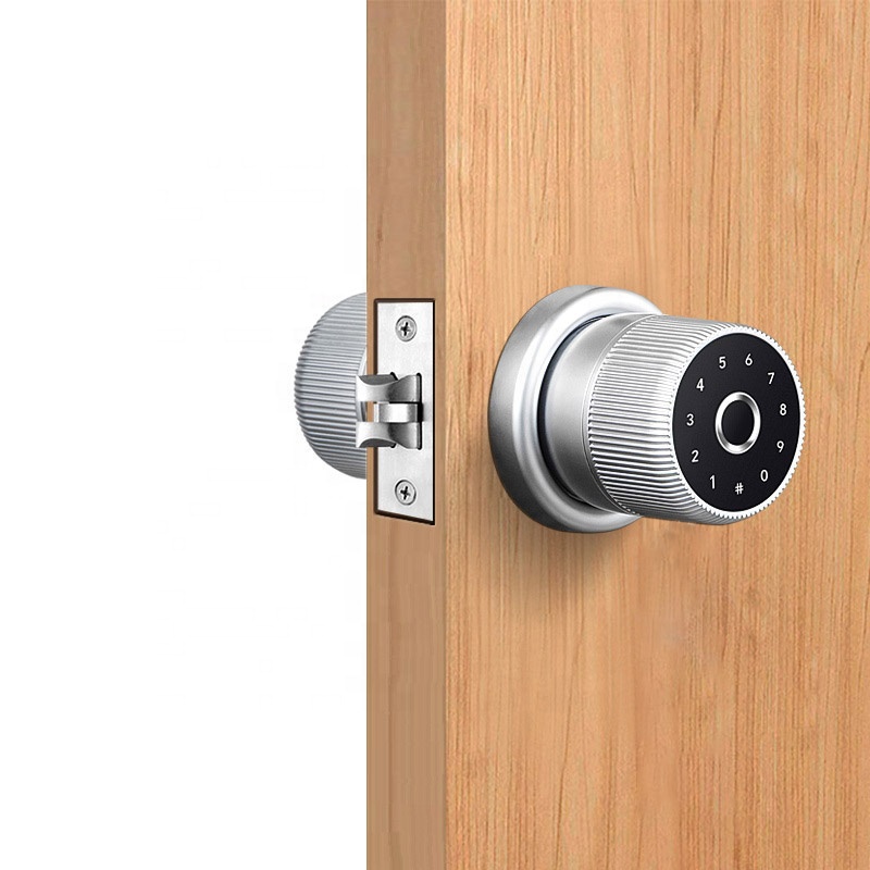 2021 Новое поступление цифровой дверной замок Tuya TTlock APP Smart Home Wi-Fi набор отпечатков пальцев для деревянной двери